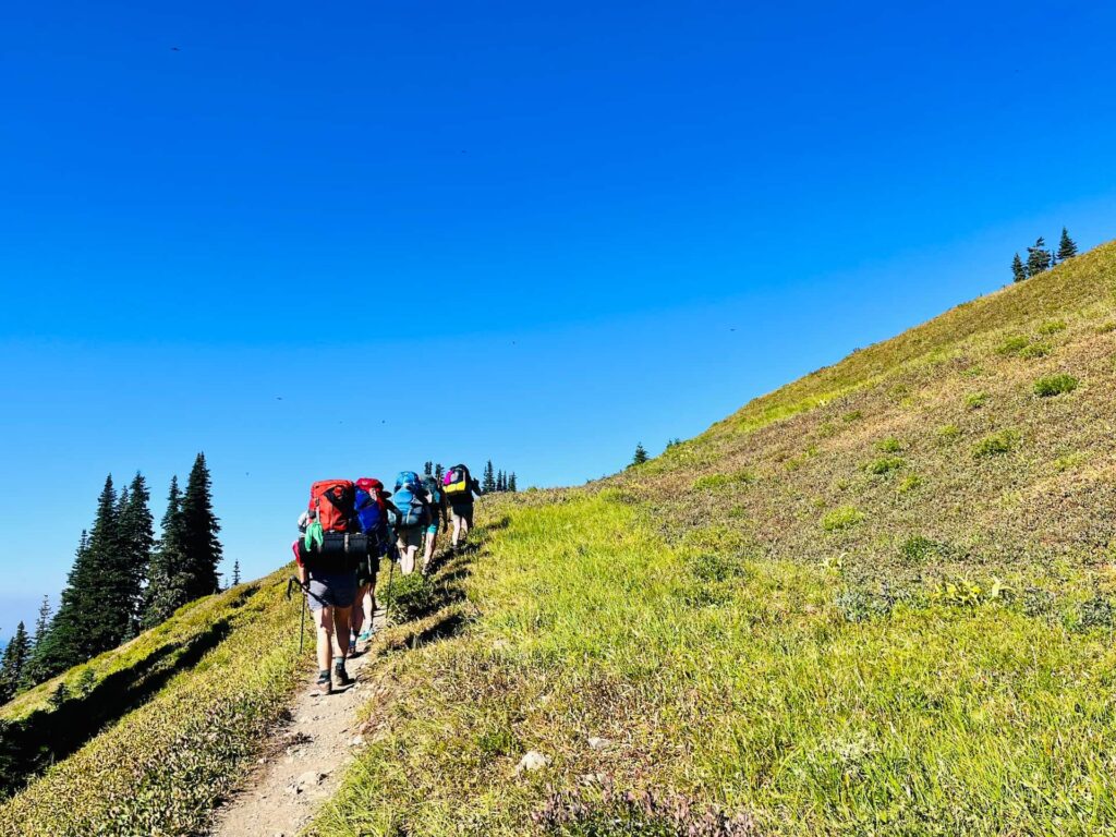 A group of backpackers walk up a singletrack trail with a grassy meadow on the right and tall pine trees on their left